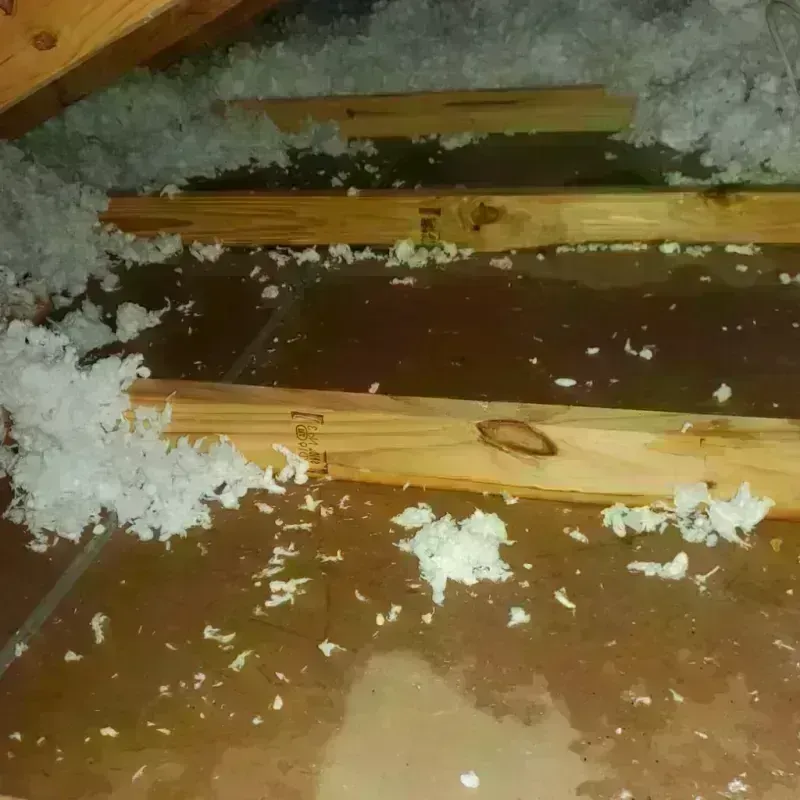 Attic Water Damage in El Dorado County, CA