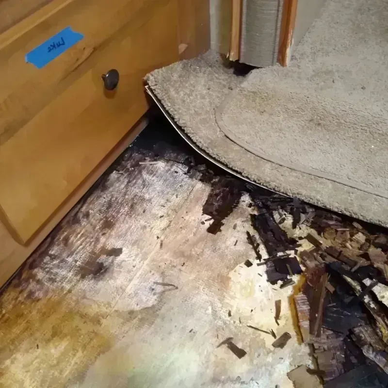 Wood Floor Water Damage in El Dorado County, CA